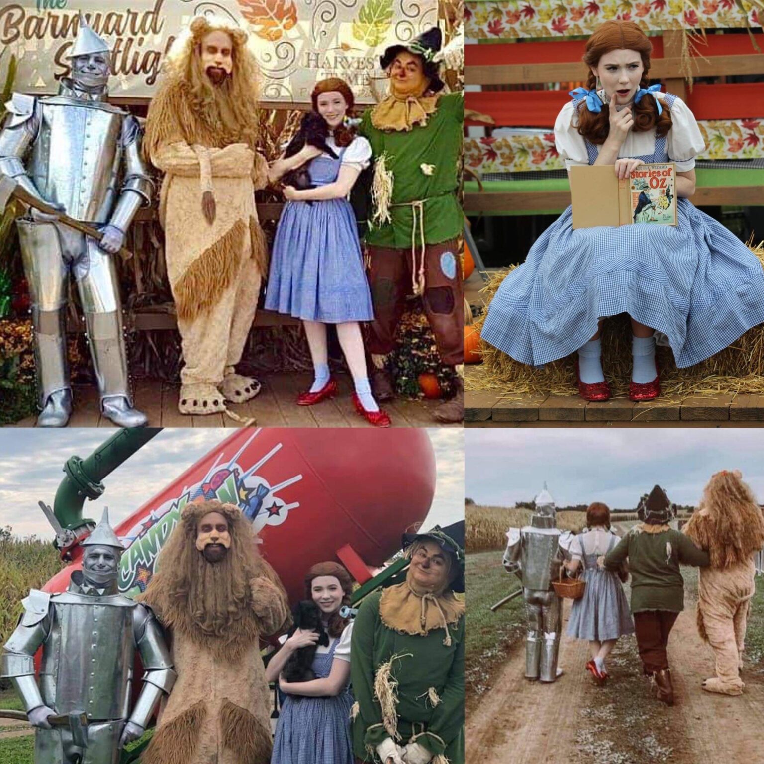 Wizard Of Oz Festival 2024 Schedule Aili Salomi